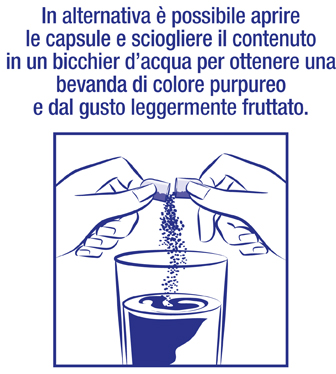 maqui-pitto-diluizione.png
